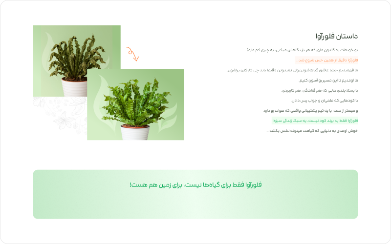 فروشگاه گل و گیاه فلورآوا